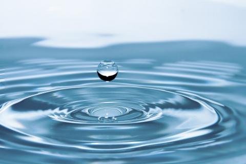 Water. The Ukrainian for "water" is "вода". Water. The Ukrainian for "water" is "вода".