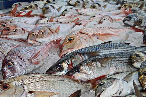 Fish. The Ukrainian for "fish" is "риба". Fish. The Ukrainian for "fish" is "риба".