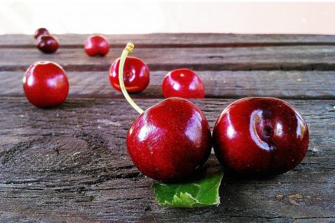 Cherry. The Ukrainian for "cherry" is "вишня". Cherry. The Ukrainian for "cherry" is "вишня".